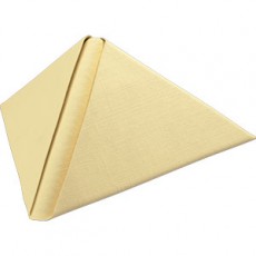 LOT DE 20 SERVIETTES DE TABLE INTISSE 40 X 40 CM SKI TREMPLIN